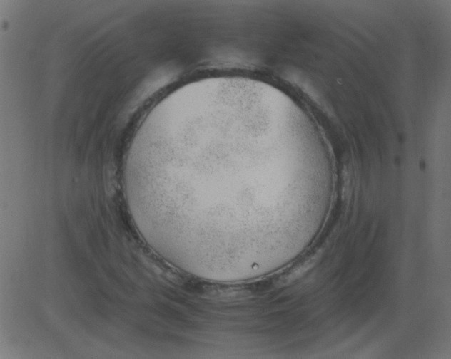 X0000081291213200702012236