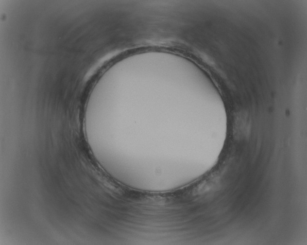 X0000081291214200702012236