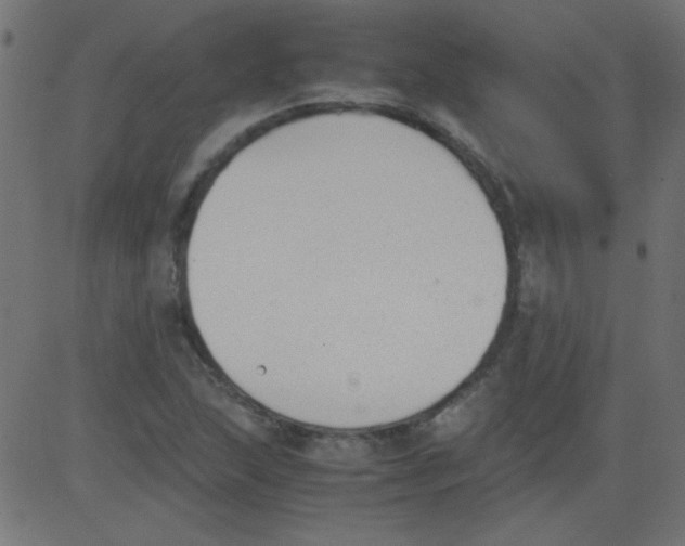 X0000081291215200702012236