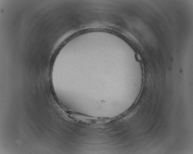 X0000081291216200702012236