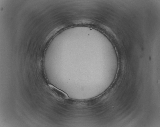 X0000081291217200702012236