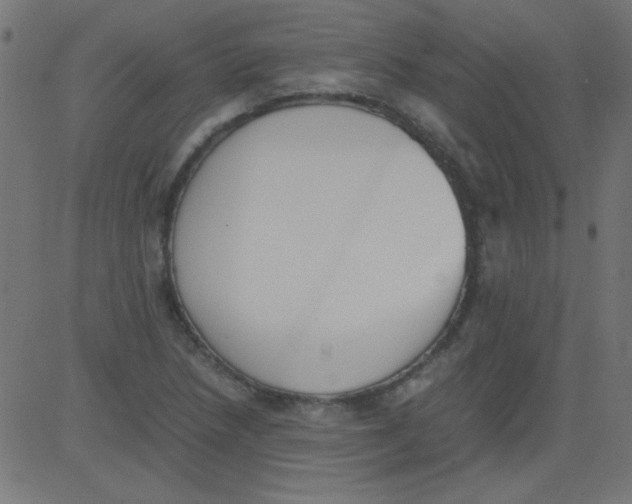 X0000081291218200702012236