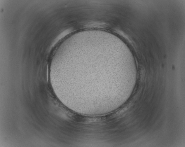 X0000081291219200702012236