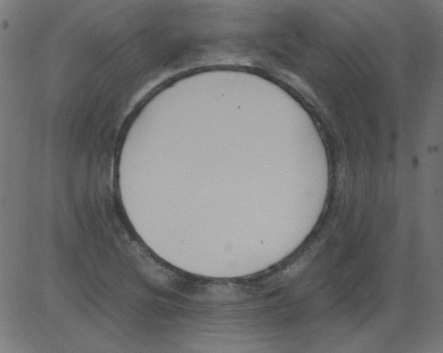 X0000081291220200702012236