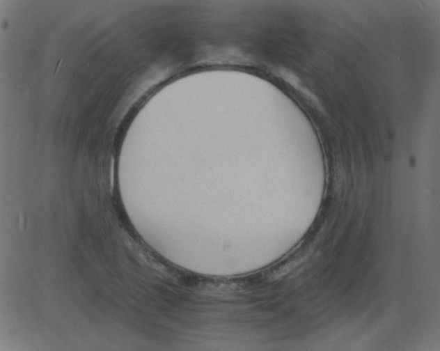 X0000081291221200702012236