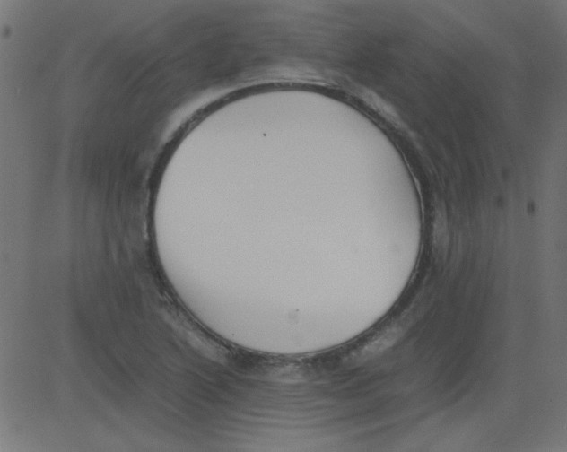 X0000081291222200702012236