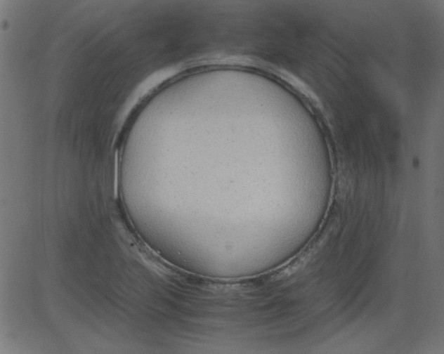 X0000081291223200702012236