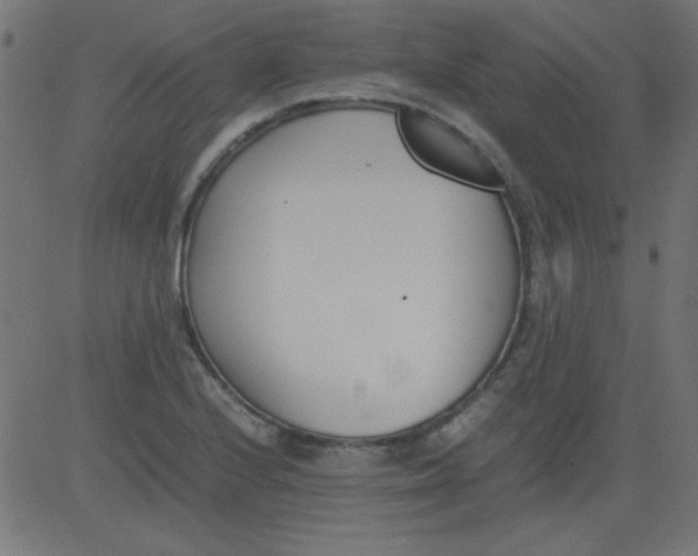 X0000081291224200702012236