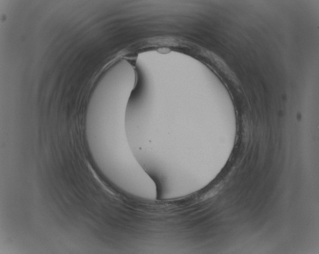 X0000081291225200702012236