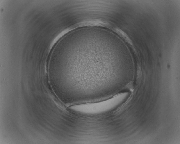 X0000081291226200702012236