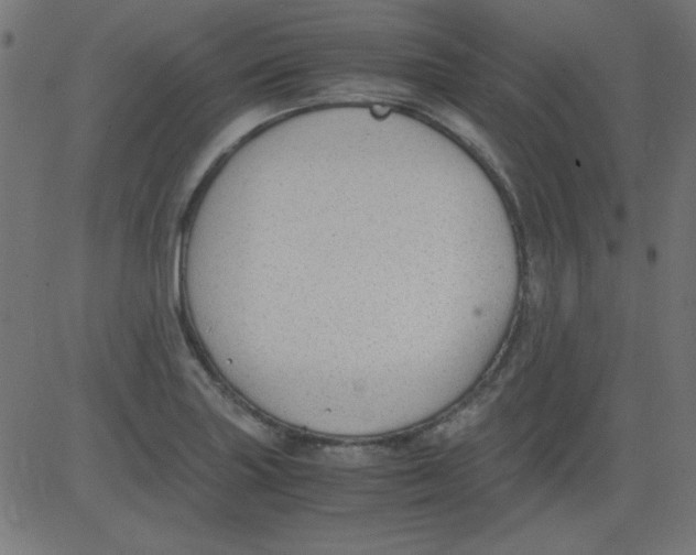 X0000081291227200702012236