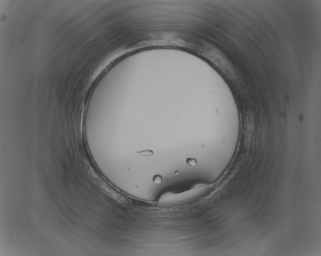 X0000081291228200702012236