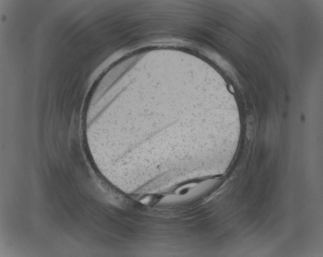 X0000081291229200702012236