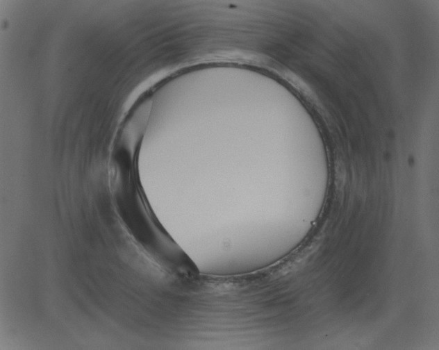 X0000081291230200702012236