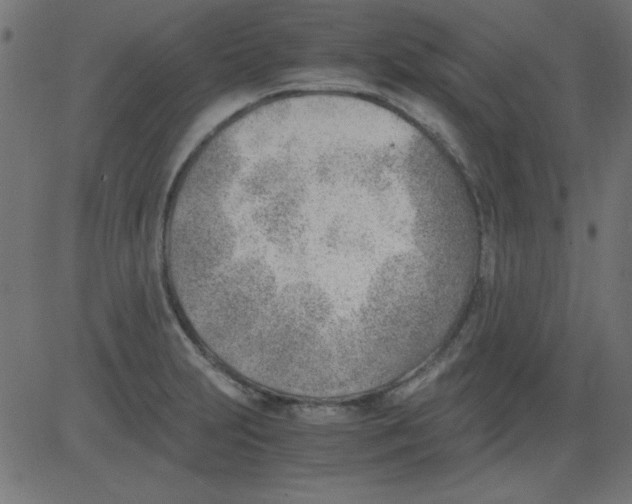 X0000081291231200702012236