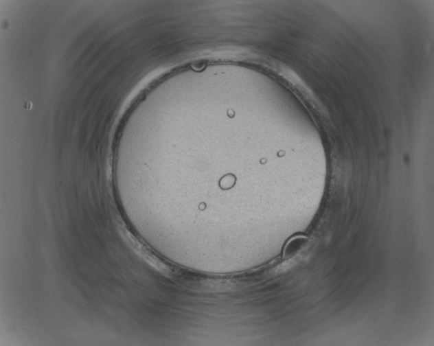 X0000081291232200702012236