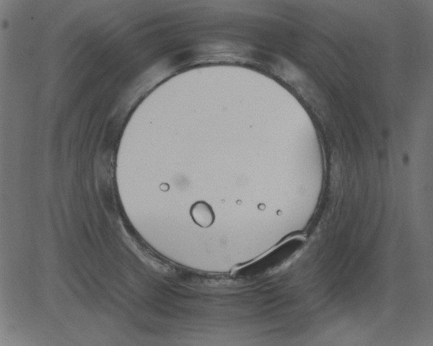 X0000081291233200702012236