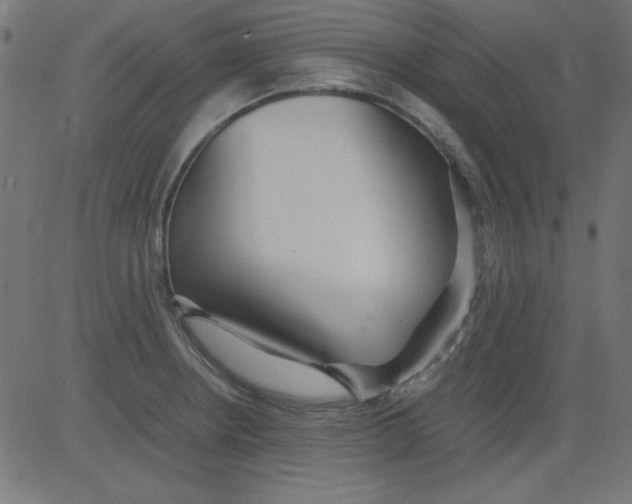 X0000081291234200702012236