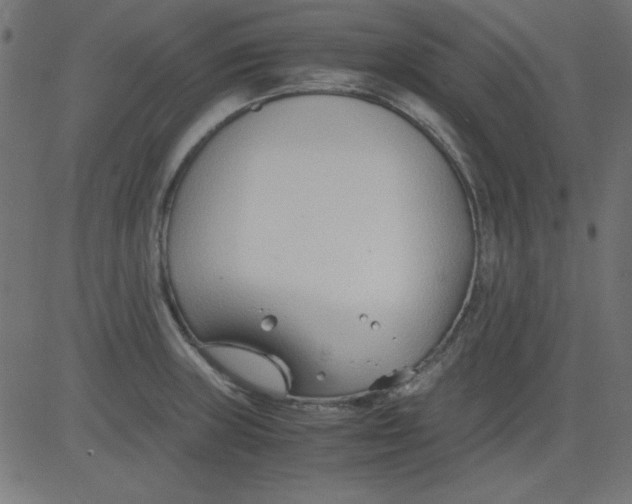 X0000081291235200702012236