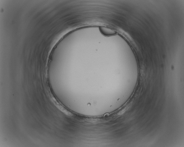 X0000081291236200702012236