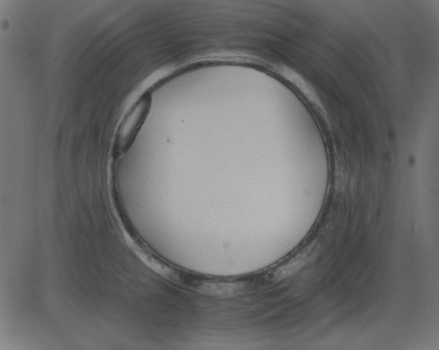 X0000081291237200702012236