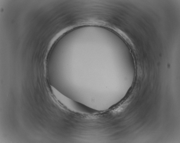 X0000081291238200702012236