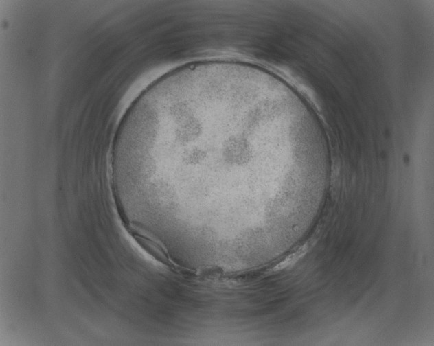 X0000081291239200702012236