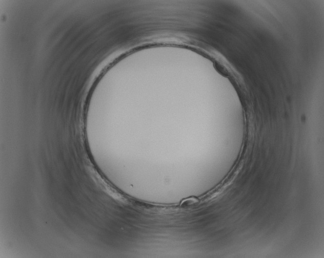 X0000081291240200702012236