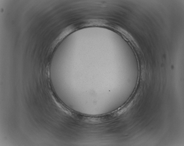 X0000081291241200702012236