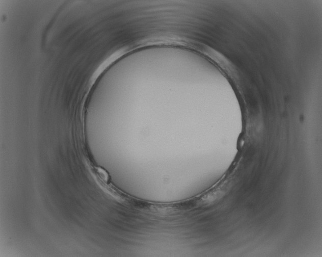 X0000081291242200702012236