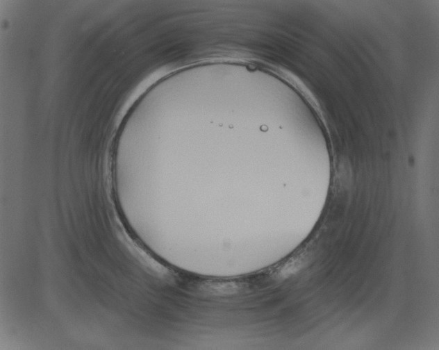 X0000081291243200702012236