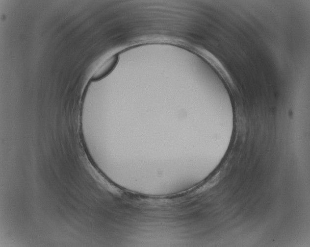 X0000081291244200702012236