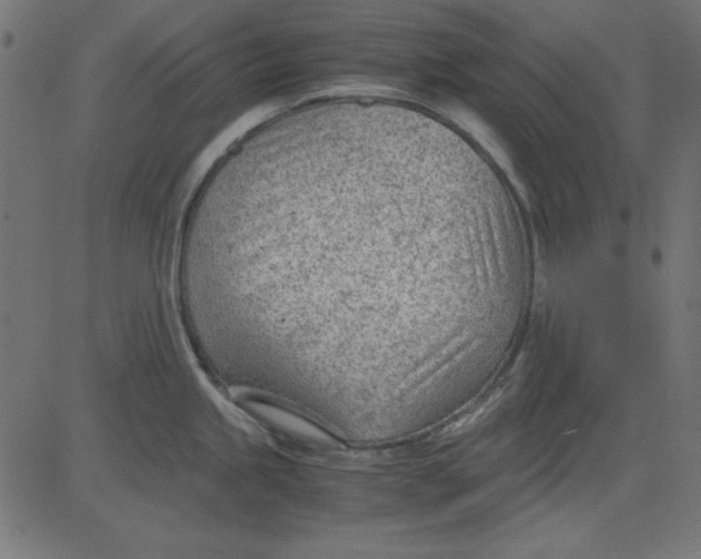 X0000081291245200702012236