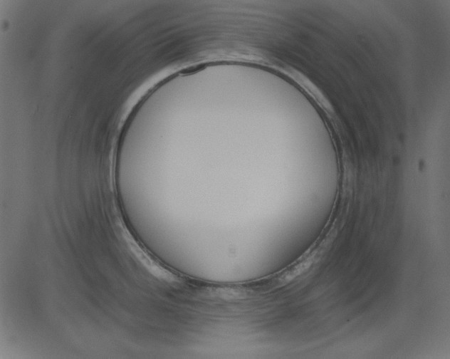 X0000081291246200702012236