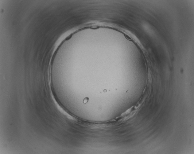 X0000081291247200702012236