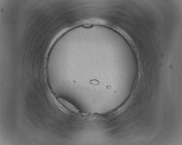 X0000081291248200702012236