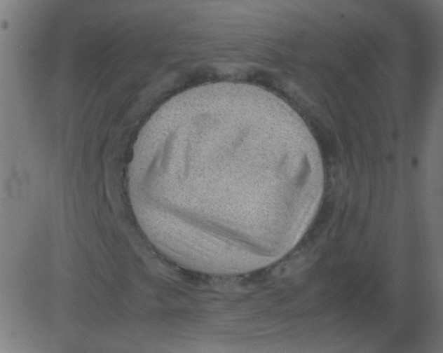 X0000081291249200702012235