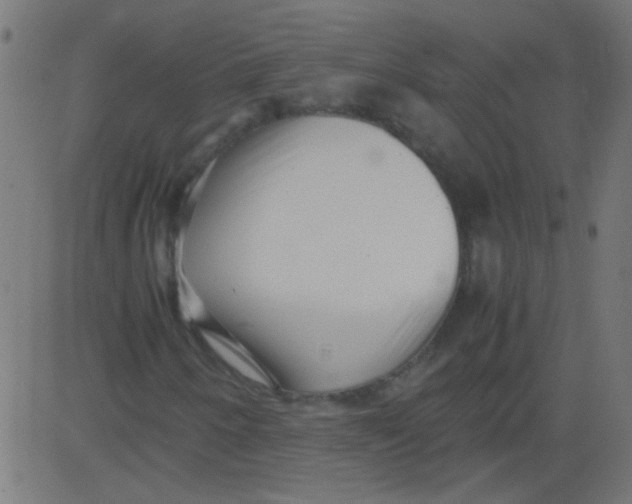 X0000081291250200702012235