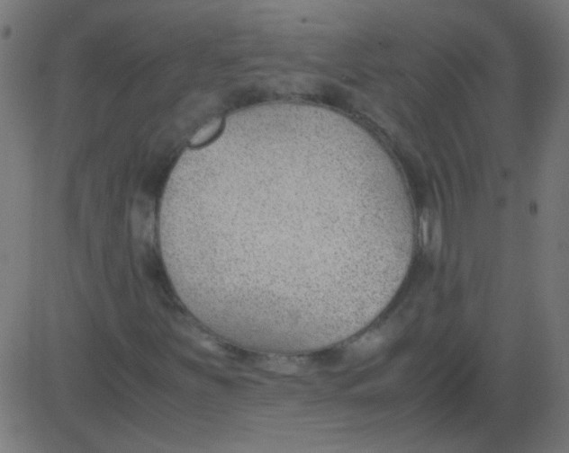 X0000081291251200702012235