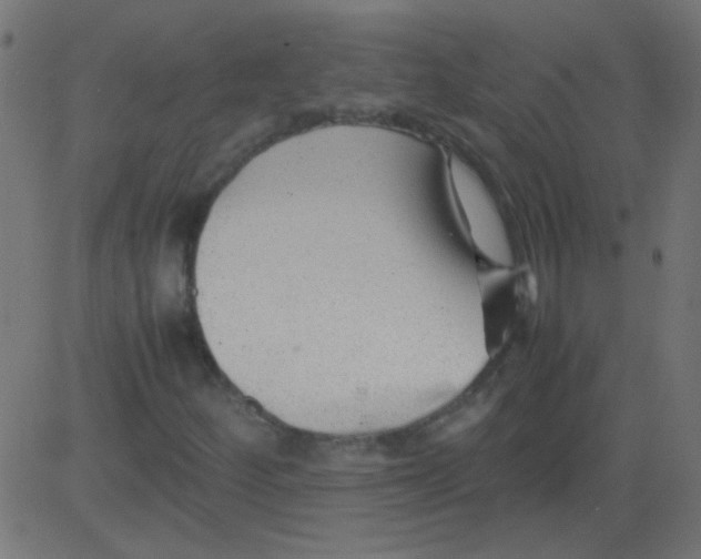 X0000081291252200702012235