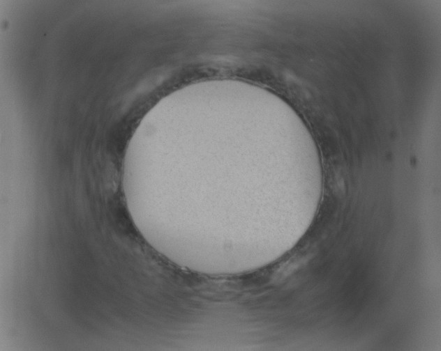 X0000081291253200702012235