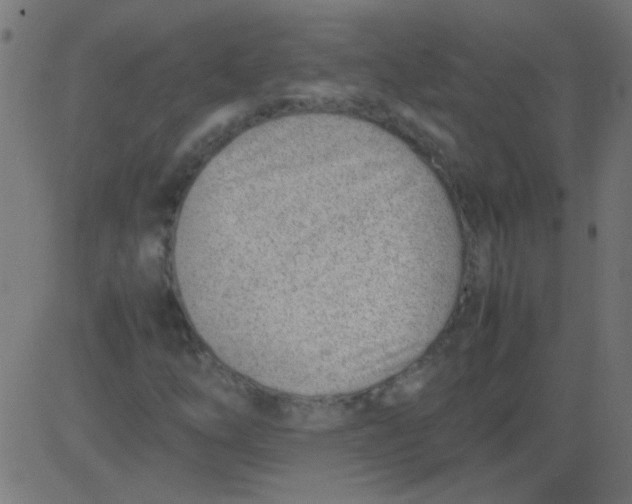 X0000081291254200702012235