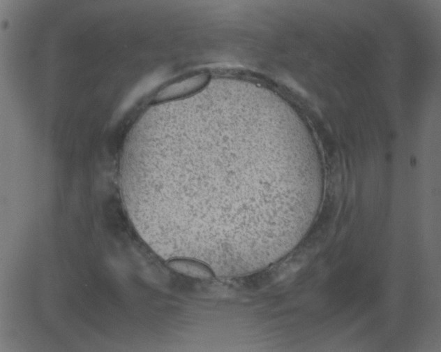 X0000081291255200702012235