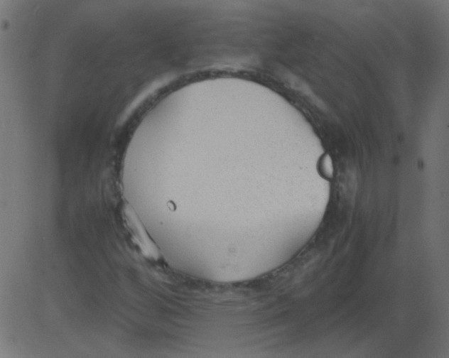 X0000081291256200702012235