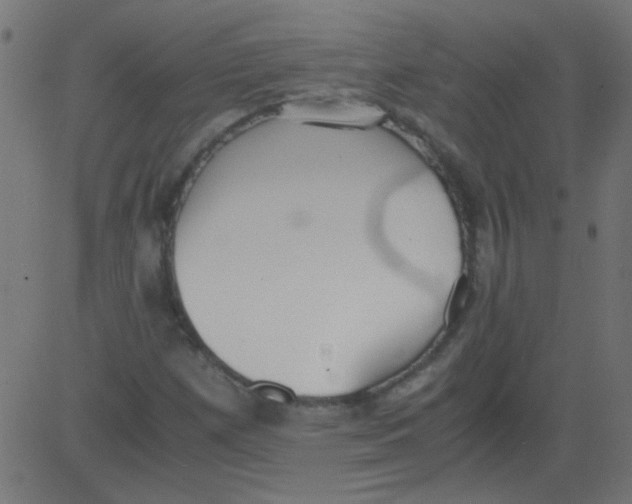 X0000081291257200702012235