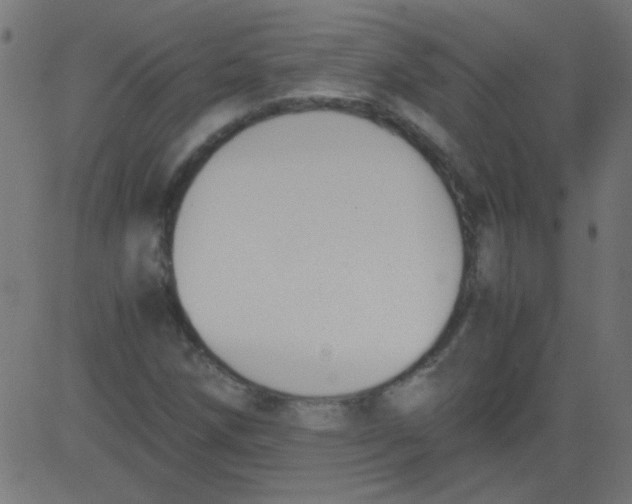 X0000081291258200702012235