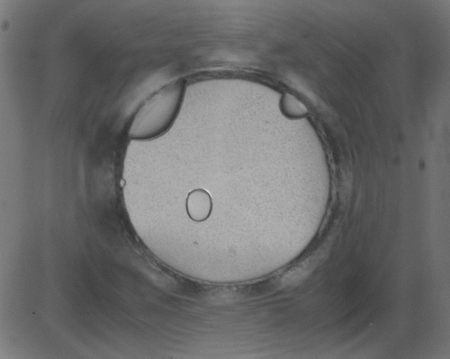 X0000081291259200702012235