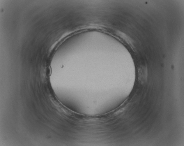 X0000081291260200702012235