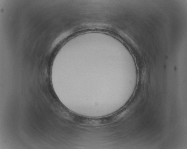 X0000081291261200702012235