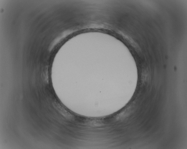 X0000081291262200702012235